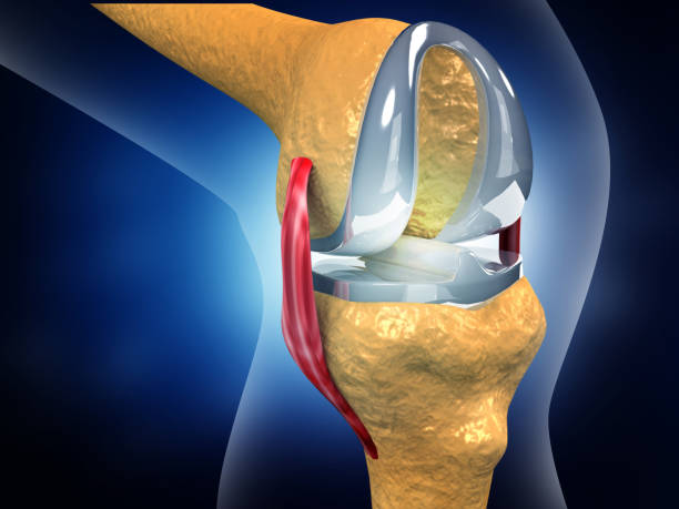 Complete Knee Replacement Options at Livasa Hoshiarpur - Personalized Treatment Choices